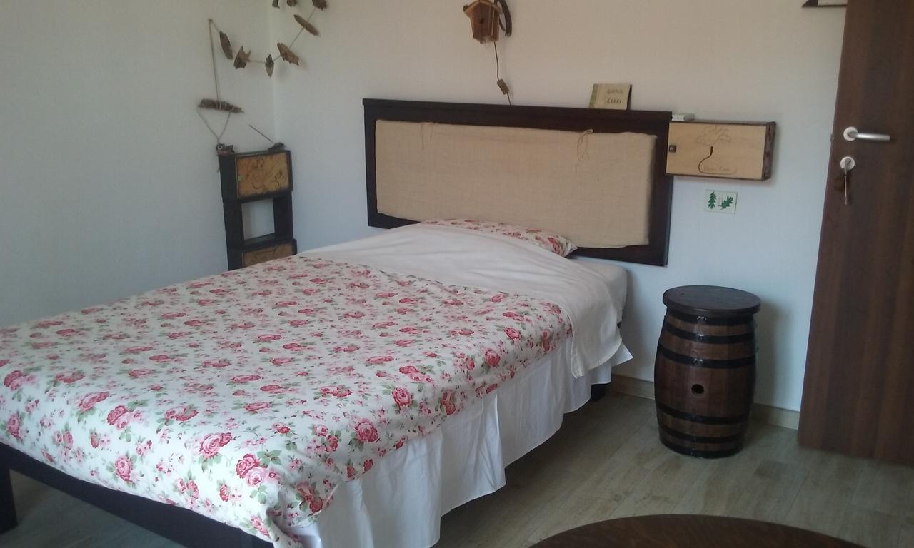 B&B Domus Cerri Fiumicino Exterior photo